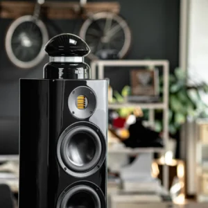 ELAC 4PI PLUS V — 4Pi Aksesuar